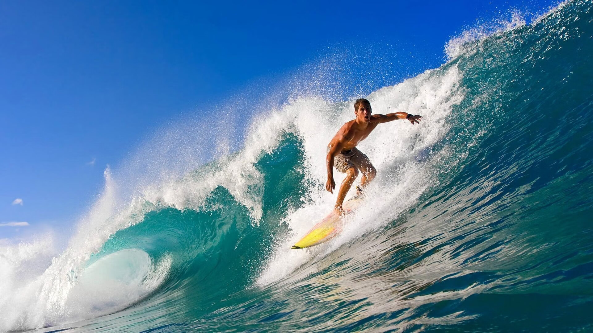 库里为慈善拍摄宣传片呼吁环保,库里慈善事业